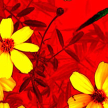 自动优化性能的cc攻击工具