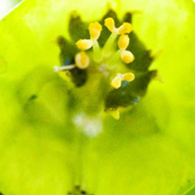 ddos攻击ip软件下载